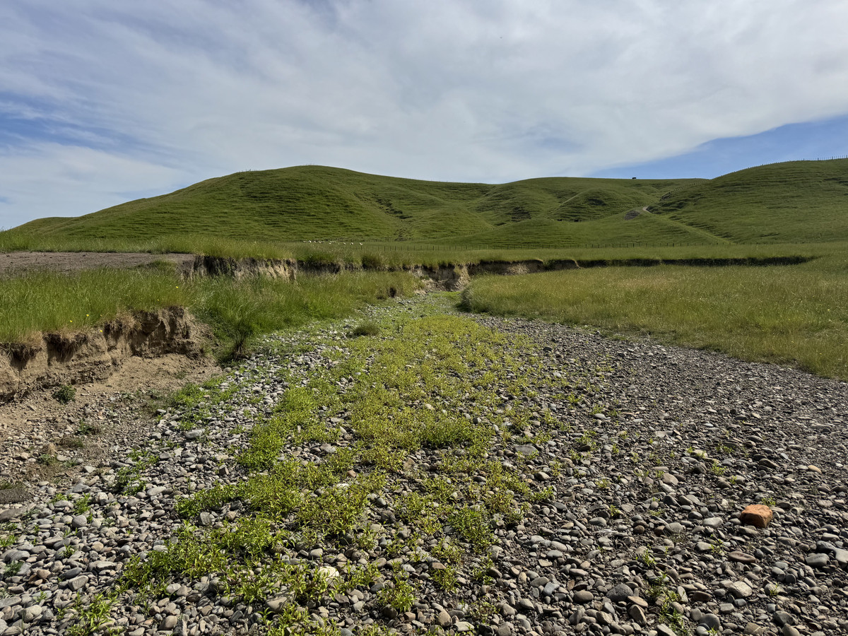 Great Balanced Contour Seeks A New Guardian