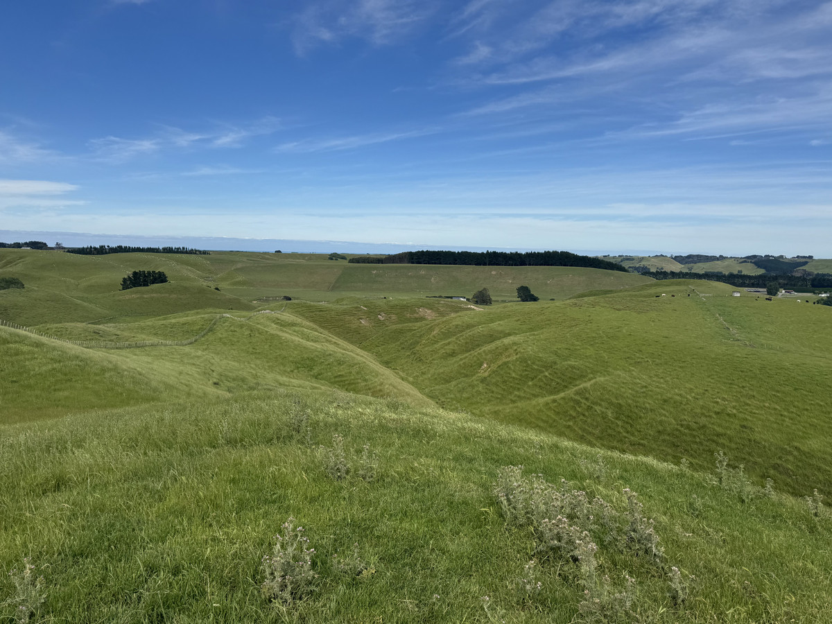Great Balanced Contour Seeks A New Guardian