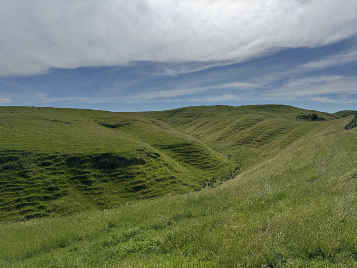 Great Balanced Contour Seeks A New Guardian