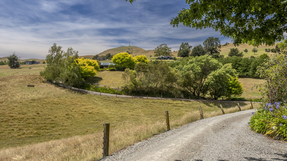 “Silverwood” - Seclusion, Scale, Scenery