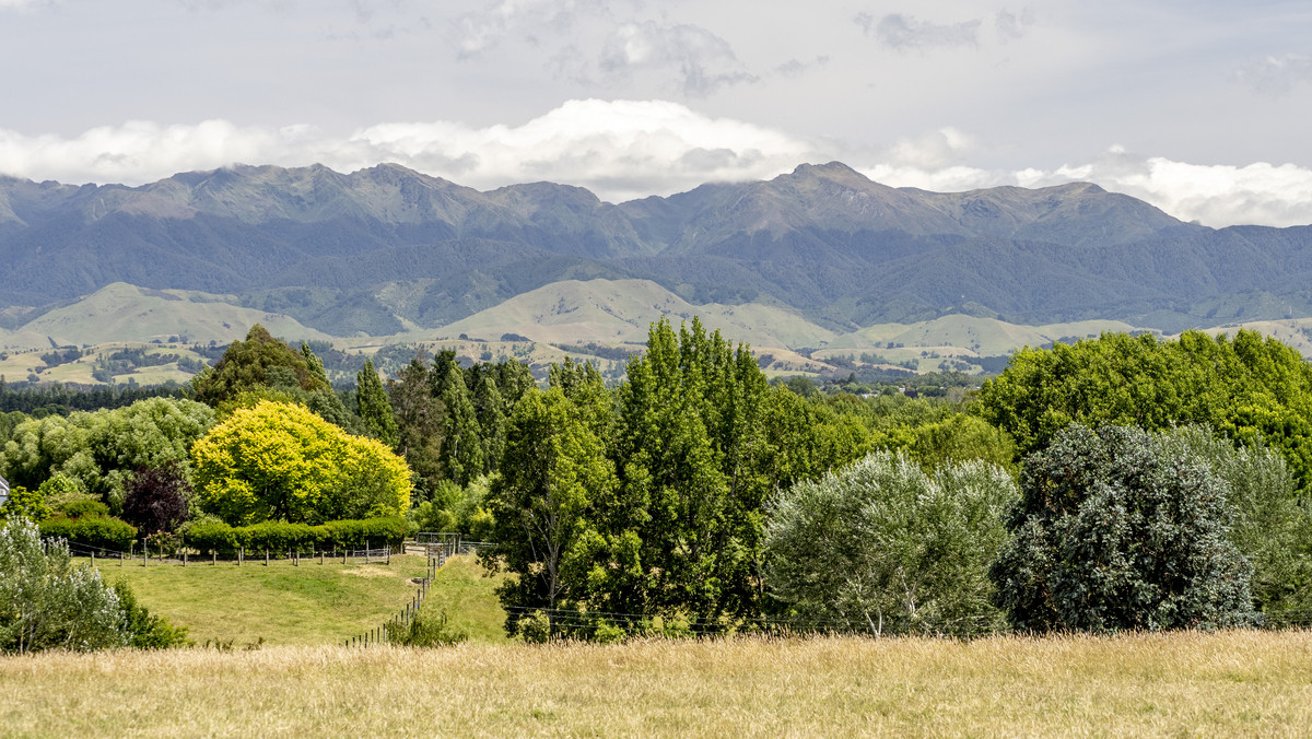 “Silverwood” - Seclusion, Scale, Scenery