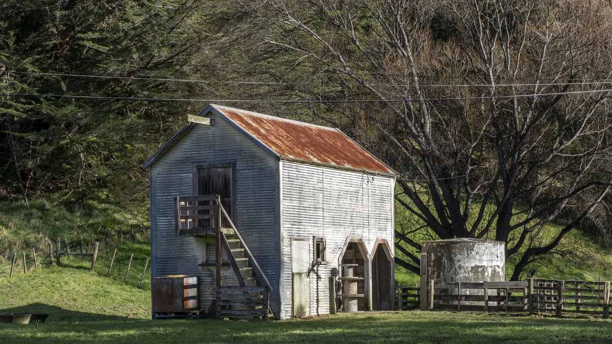 Looking For A Home For A Large Family, Horses & Hounds?