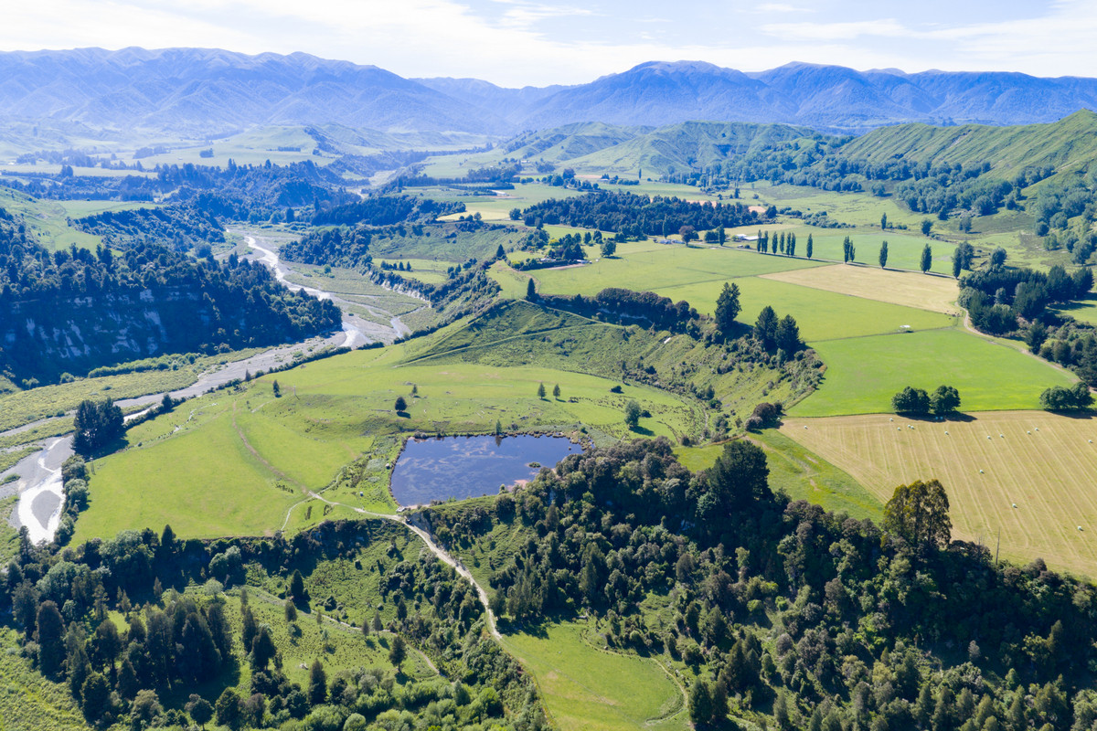 Well Balanced Breeding & Finishing With A Bit of X Factor