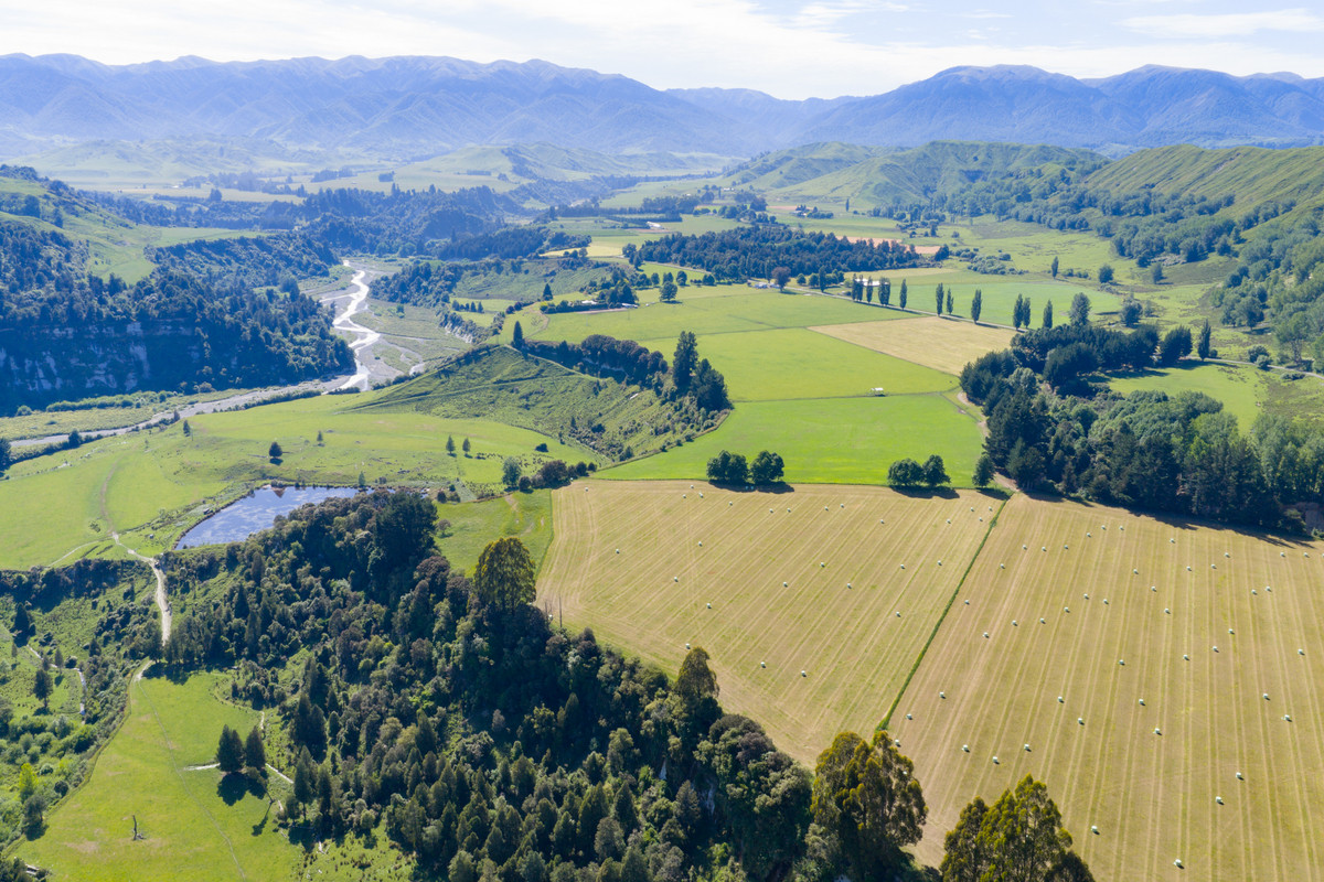 Well Balanced Breeding & Finishing With A Bit of X Factor