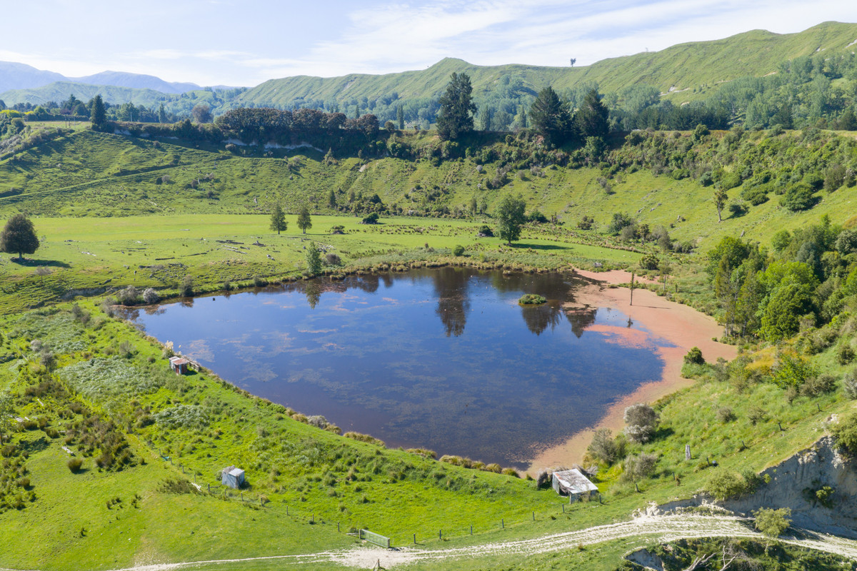 Well Balanced Breeding & Finishing With A Bit of X Factor