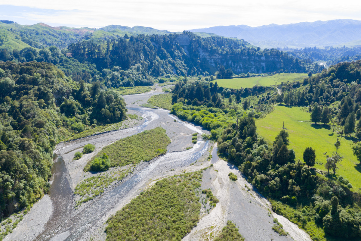 Well Balanced Breeding & Finishing With A Bit of X Factor