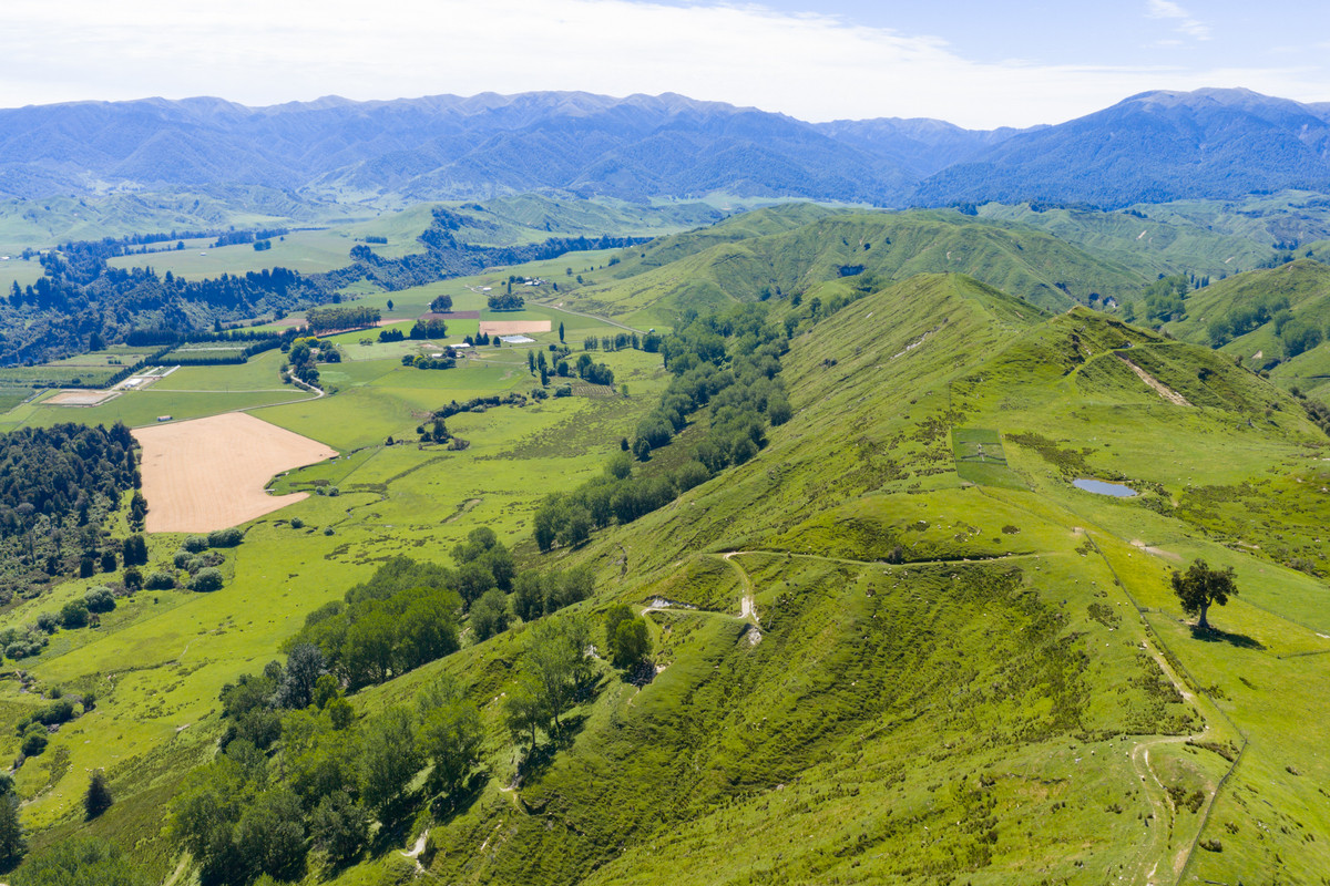 Well Balanced Breeding & Finishing With A Bit of X Factor