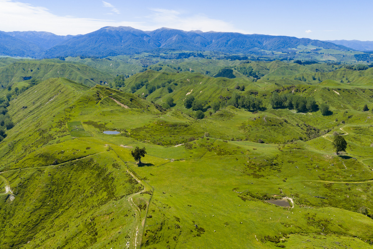 Well Balanced Breeding & Finishing With A Bit of X Factor