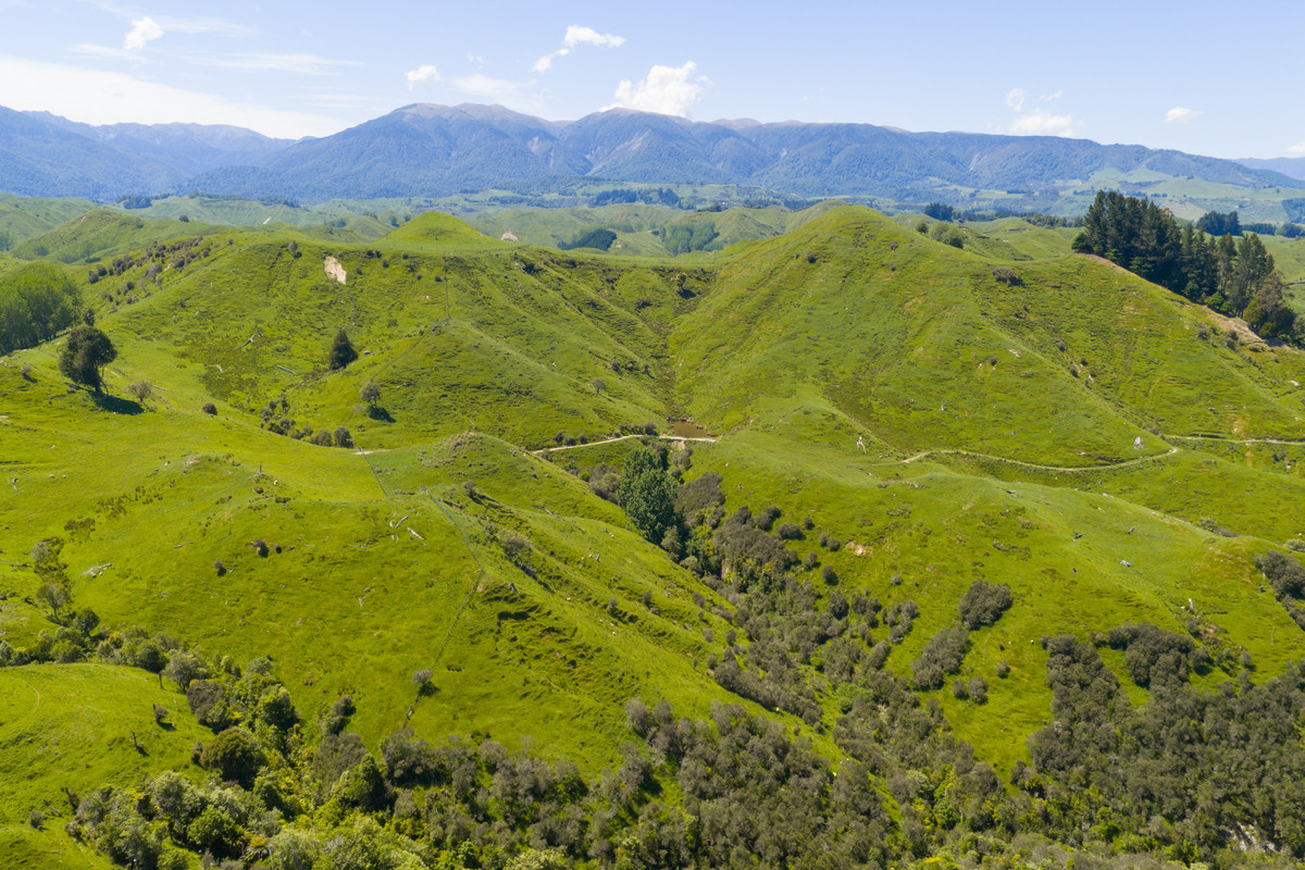 Well Balanced Breeding & Finishing With A Bit of X Factor