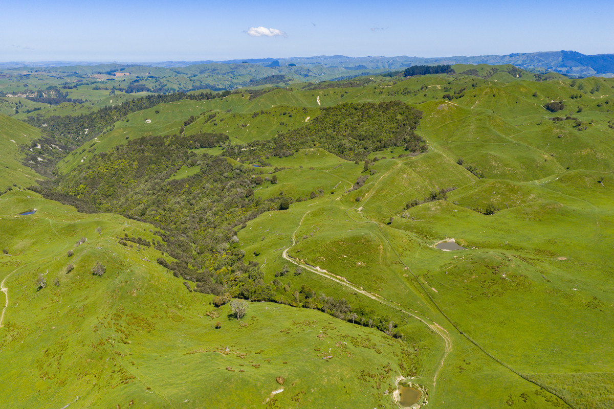 Well Balanced Breeding & Finishing With A Bit of X Factor