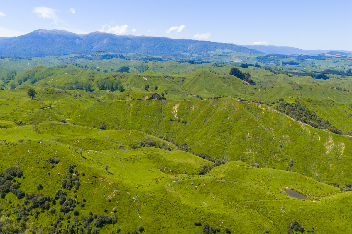 Well Balanced Breeding & Finishing With A Bit of X Factor