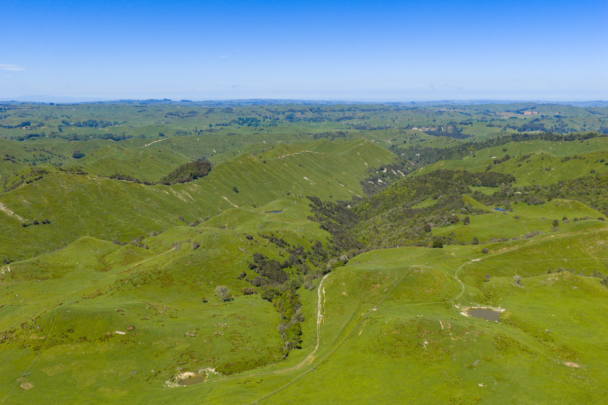 Well Balanced Breeding & Finishing With A Bit of X Factor