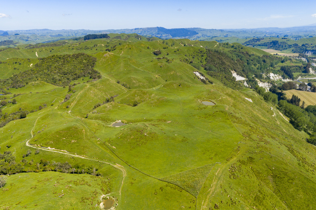 Well Balanced Breeding & Finishing With A Bit of X Factor