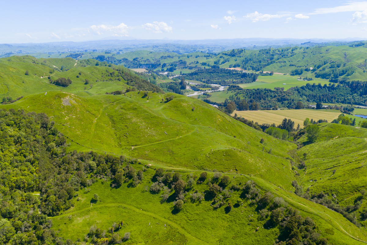 Well Balanced Breeding & Finishing With A Bit of X Factor