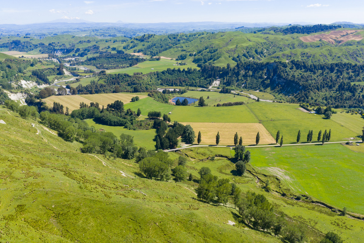 Well Balanced Breeding & Finishing With A Bit of X Factor