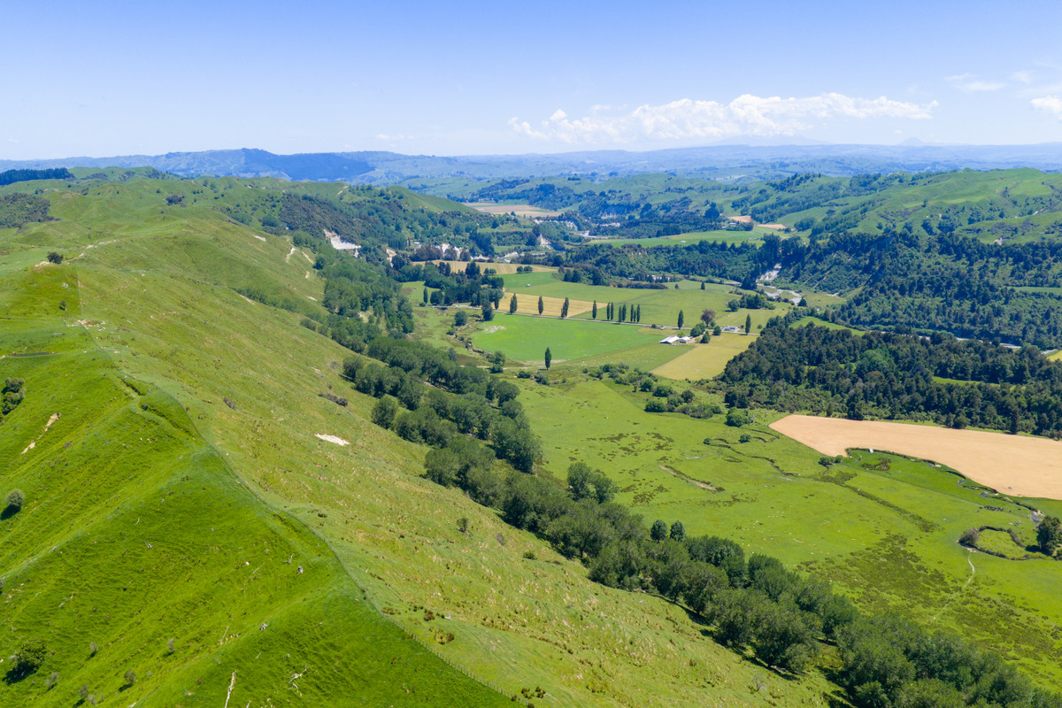 Well Balanced Breeding & Finishing With A Bit of X Factor