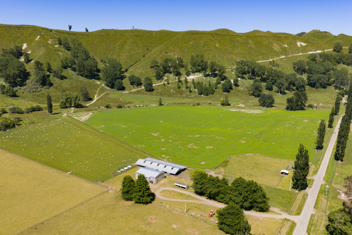 Well Balanced Breeding & Finishing With A Bit of X Factor