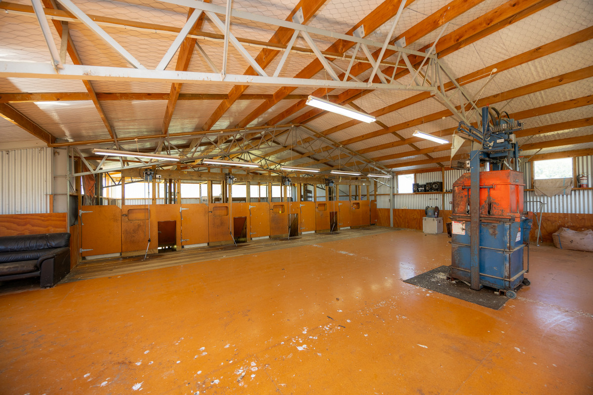 Well Balanced Breeding & Finishing With A Bit of X Factor