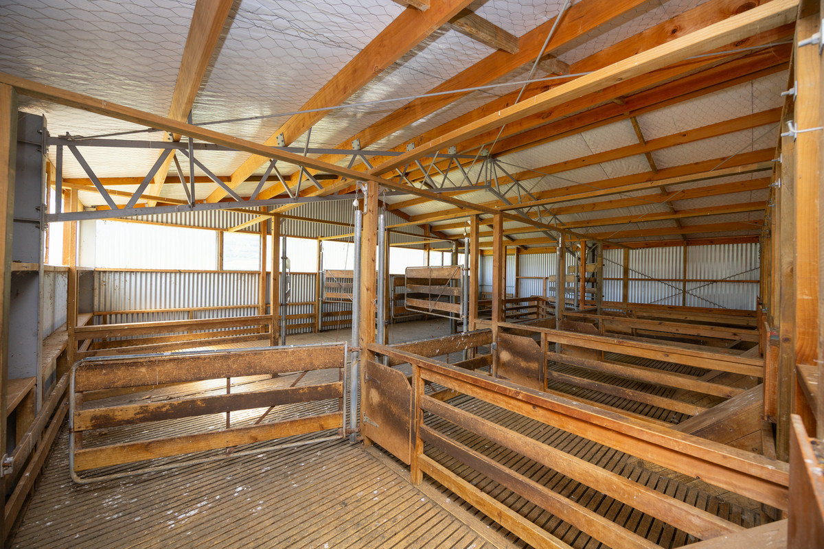 Well Balanced Breeding & Finishing With A Bit of X Factor