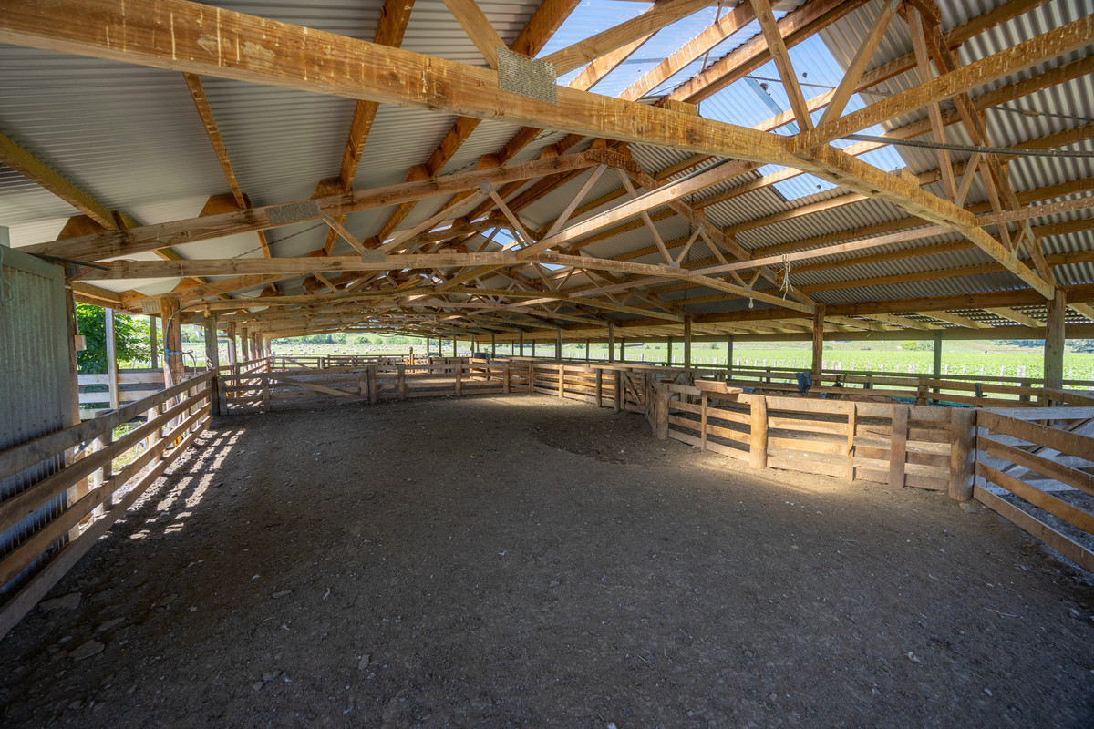 Well Balanced Breeding & Finishing With A Bit of X Factor