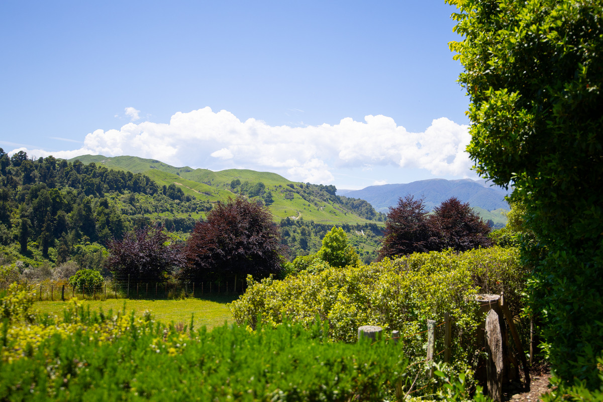 Well Balanced Breeding & Finishing With A Bit of X Factor