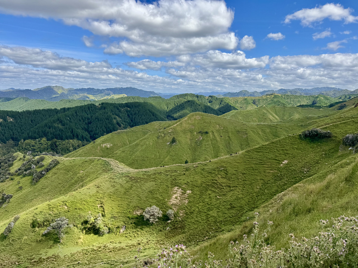 Farm Ready. Future Ready.