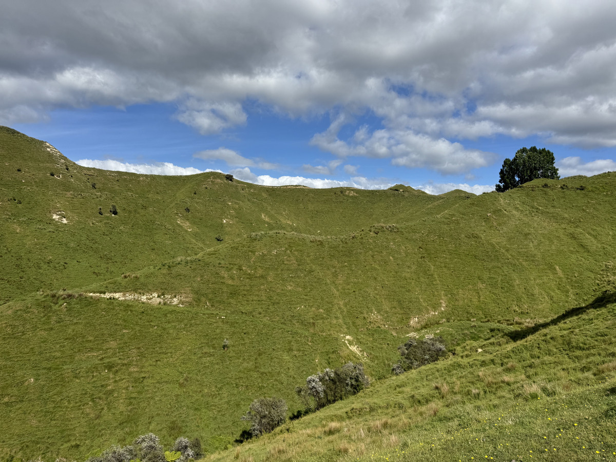 Farm Ready. Future Ready.