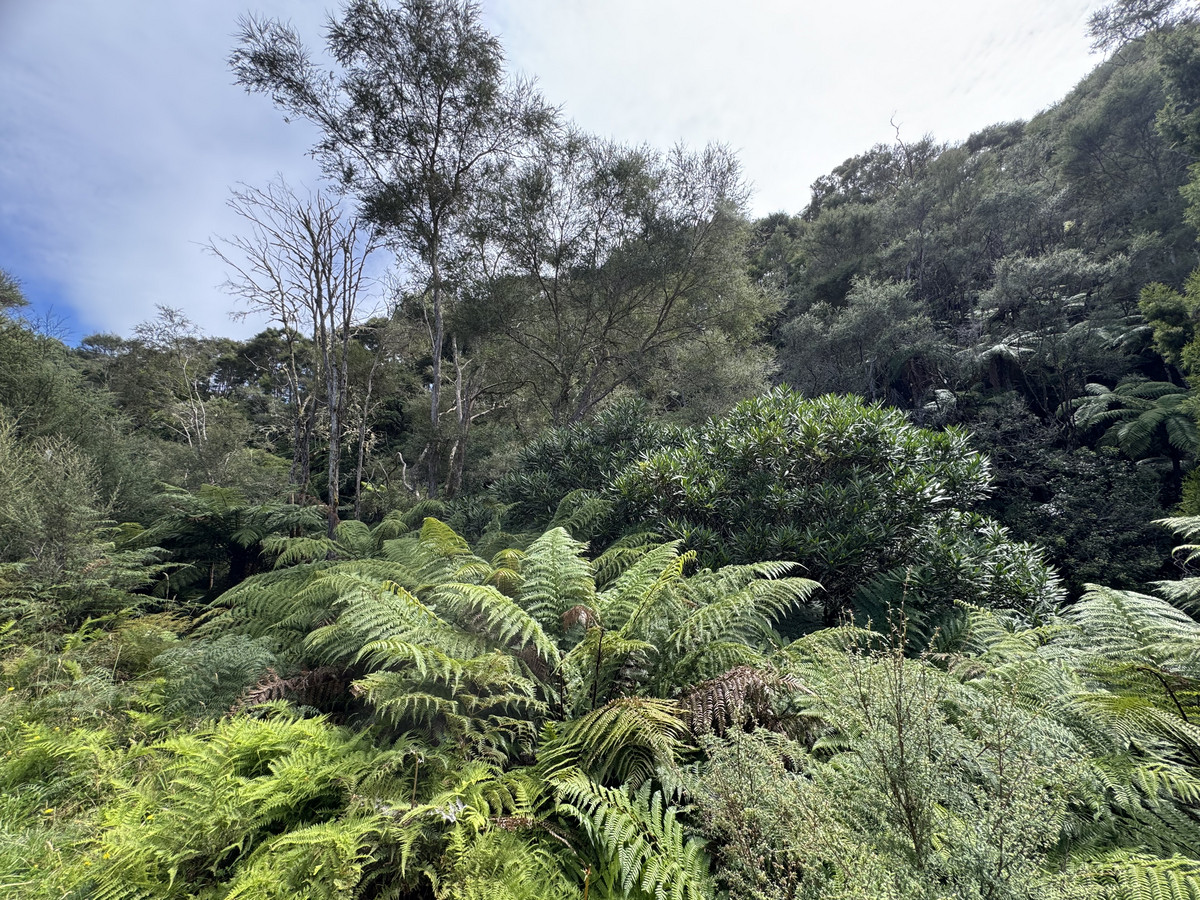 A Diamond In The Rough