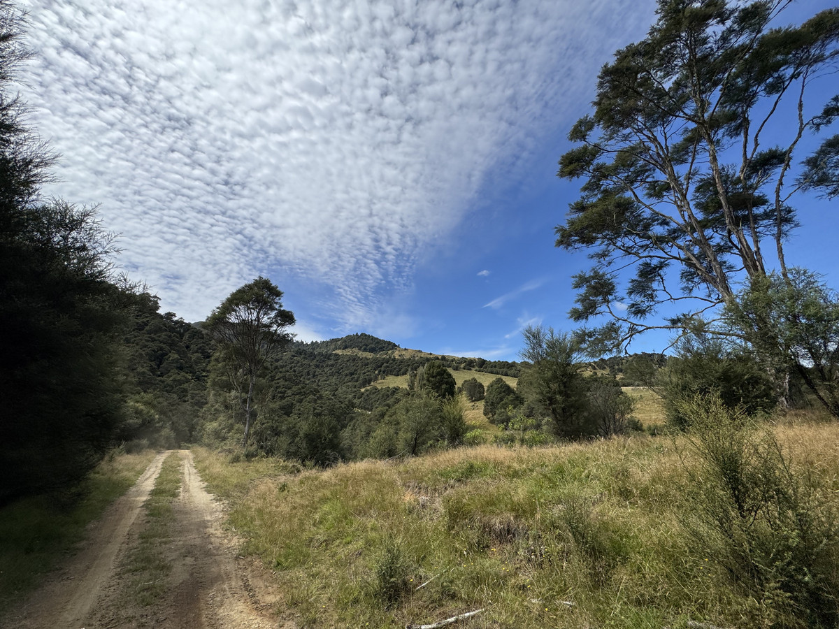 A Diamond In The Rough