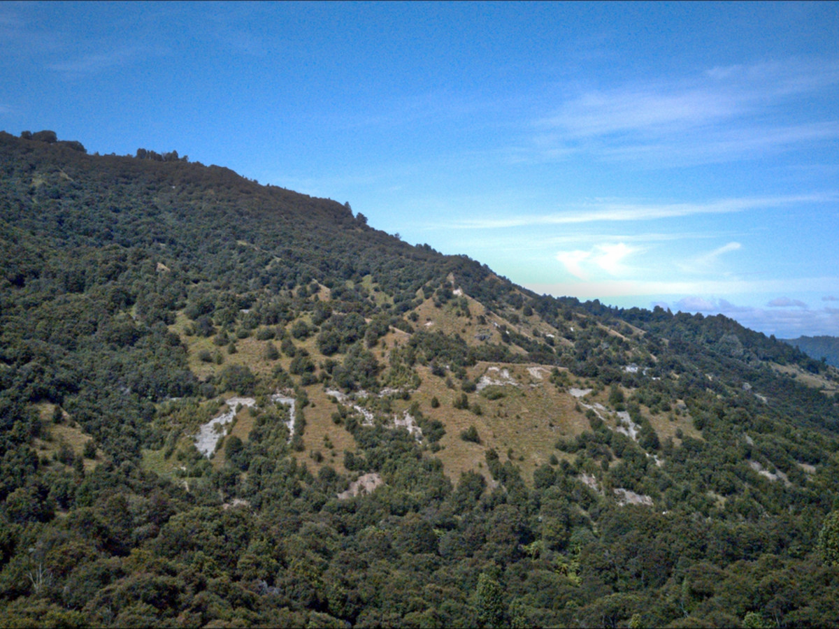 A Diamond In The Rough