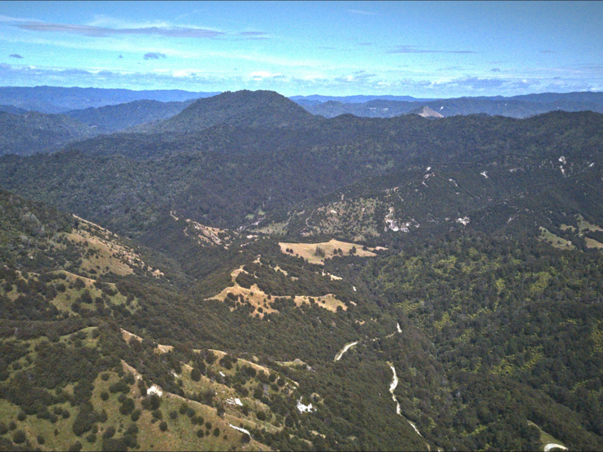 A Diamond In The Rough