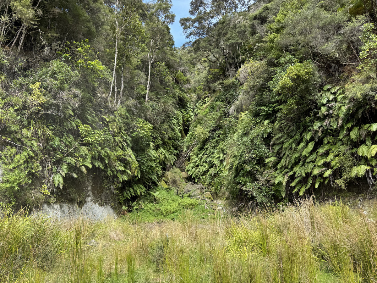 A Diamond In The Rough