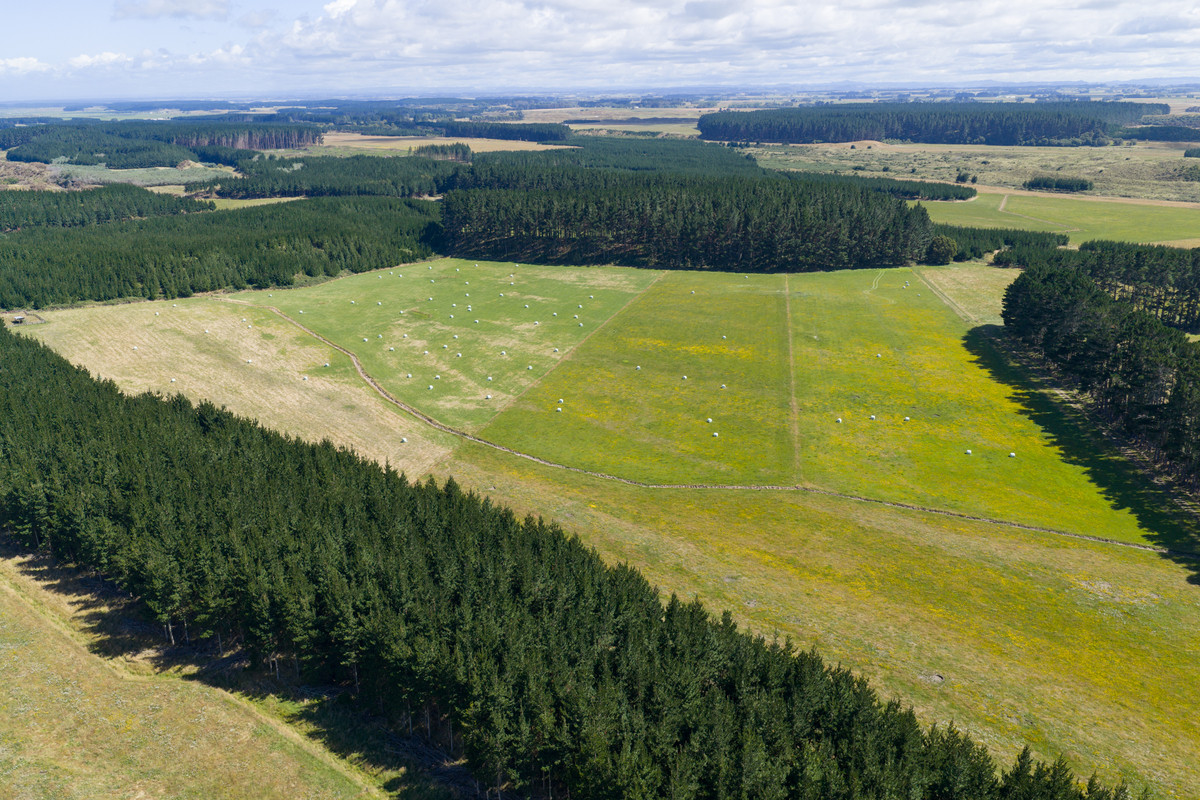 Well Set Up Bareland Sand Country With Balance Mix of Soils