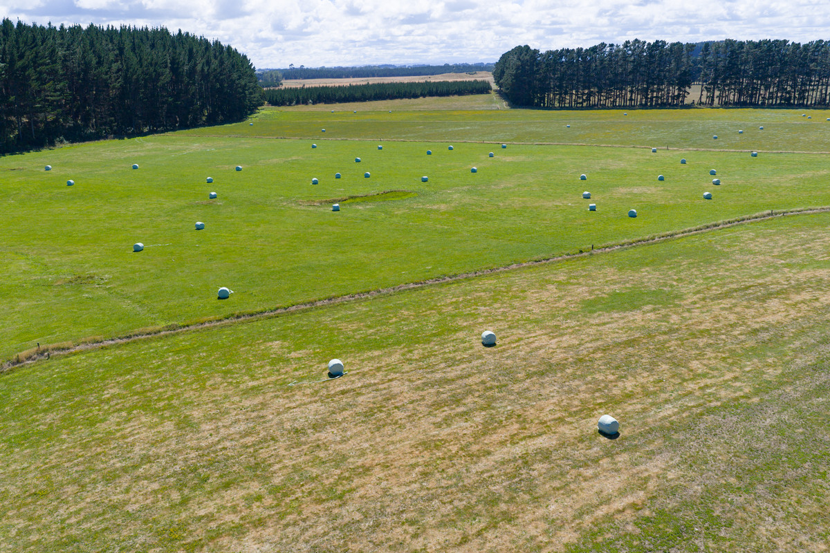 Well Set Up Bareland Sand Country With Balance Mix of Soils