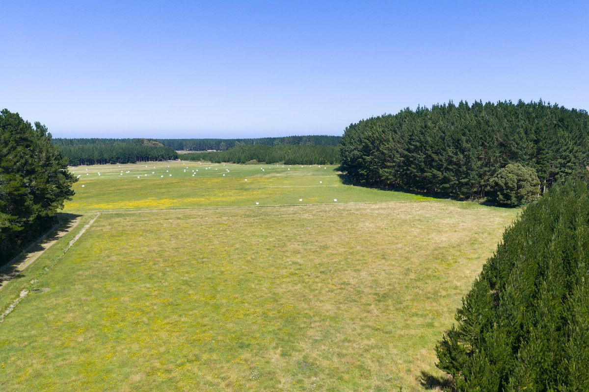 Well Set Up Bareland Sand Country With Balance Mix of Soils