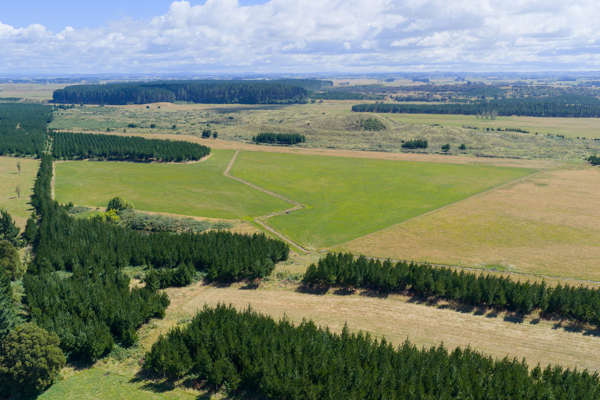 Well Set Up Bareland Sand Country With Balance Mix of Soils