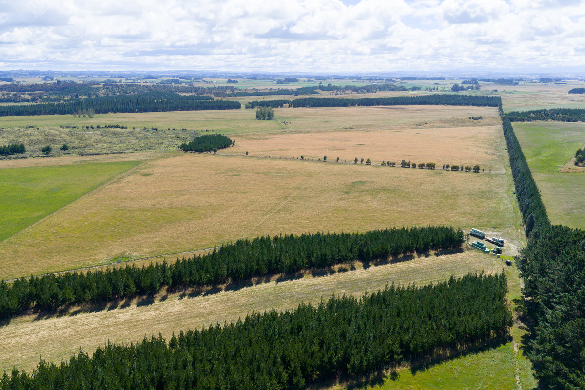Well Set Up Bareland Sand Country With Balance Mix of Soils