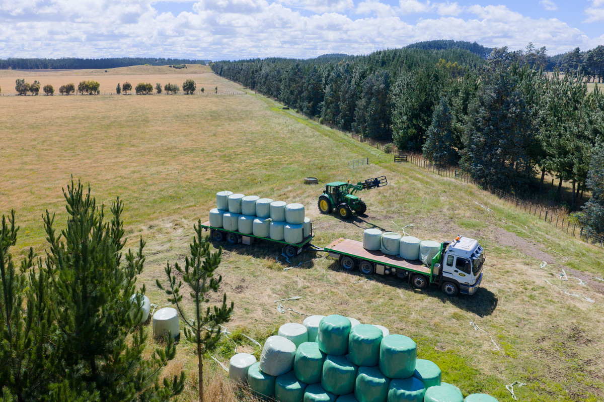 Well Set Up Bareland Sand Country With Balance Mix of Soils