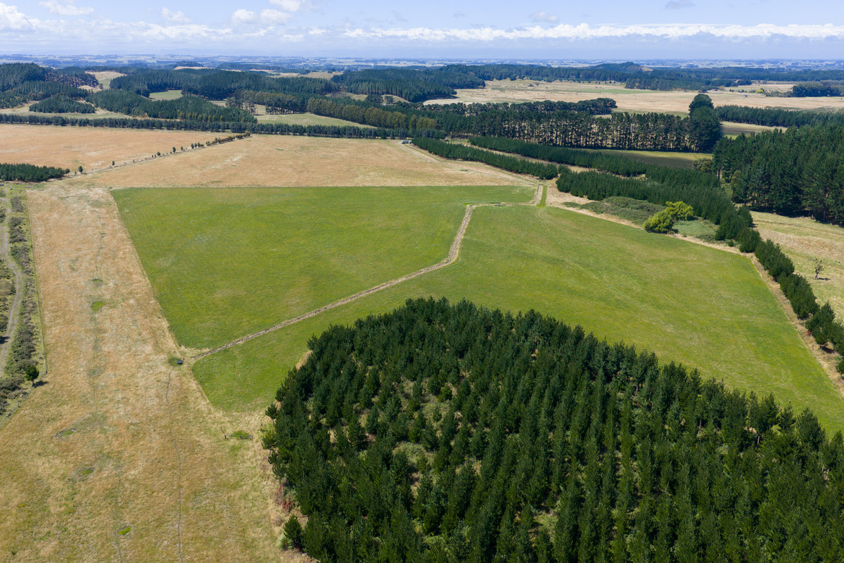 Well Set Up Bareland Sand Country With Balance Mix of Soils