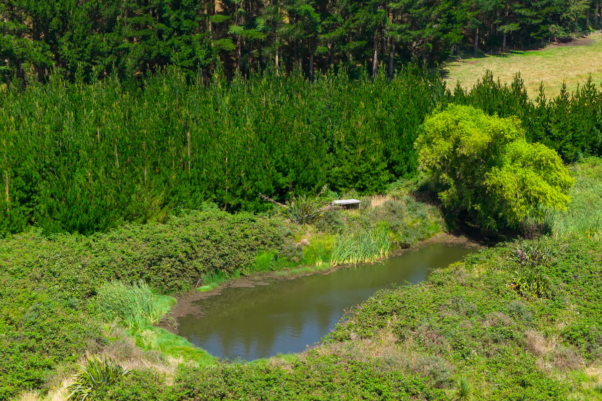 Well Set Up Bareland Sand Country With Balance Mix of Soils