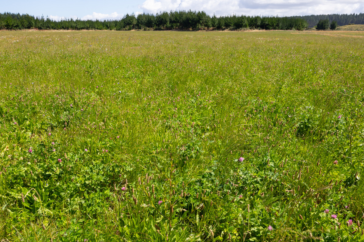 Well Set Up Bareland Sand Country With Balance Mix of Soils