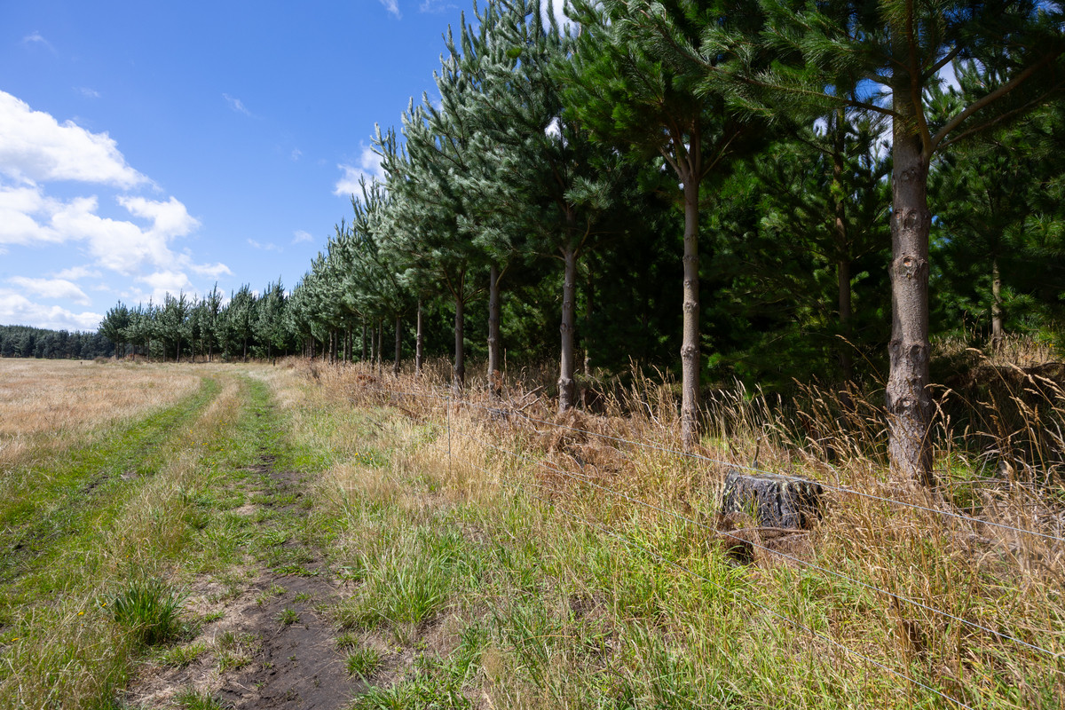 Well Set Up Bareland Sand Country With Balance Mix of Soils