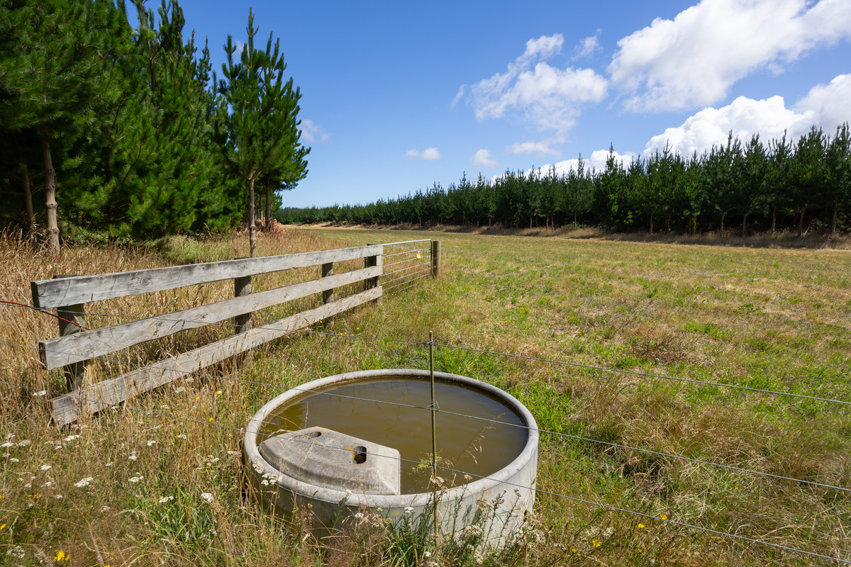 Well Set Up Bareland Sand Country With Balance Mix of Soils