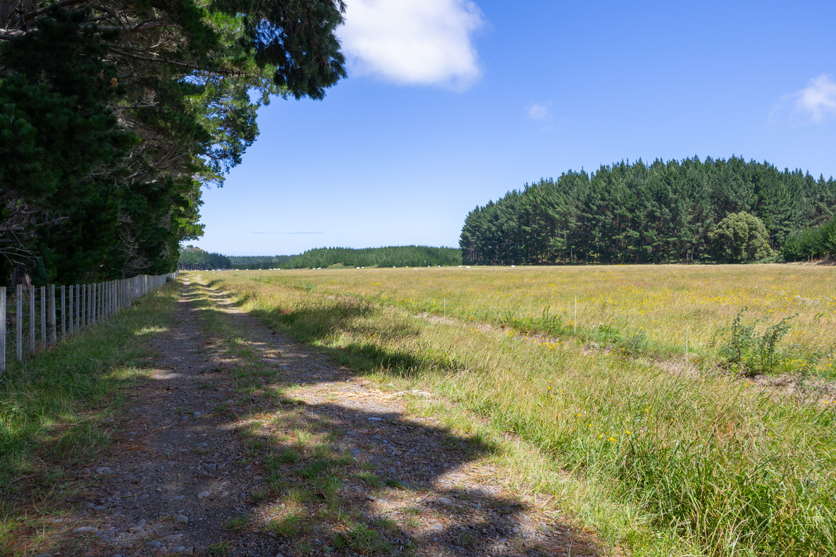 Well Set Up Bareland Sand Country With Balance Mix of Soils