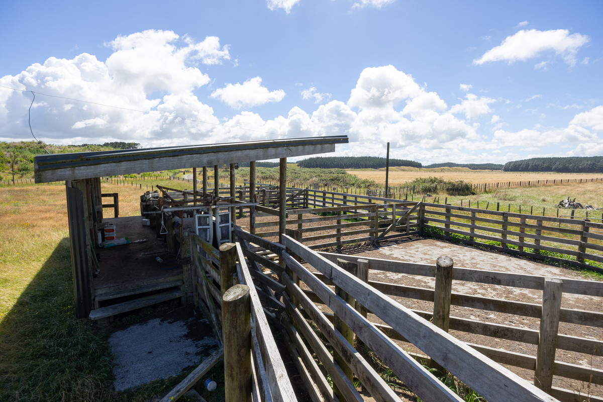 Well Set Up Bareland Sand Country With Balance Mix of Soils