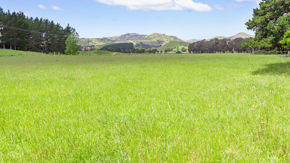 Surf or Turf - Value Bare Land Opportunity