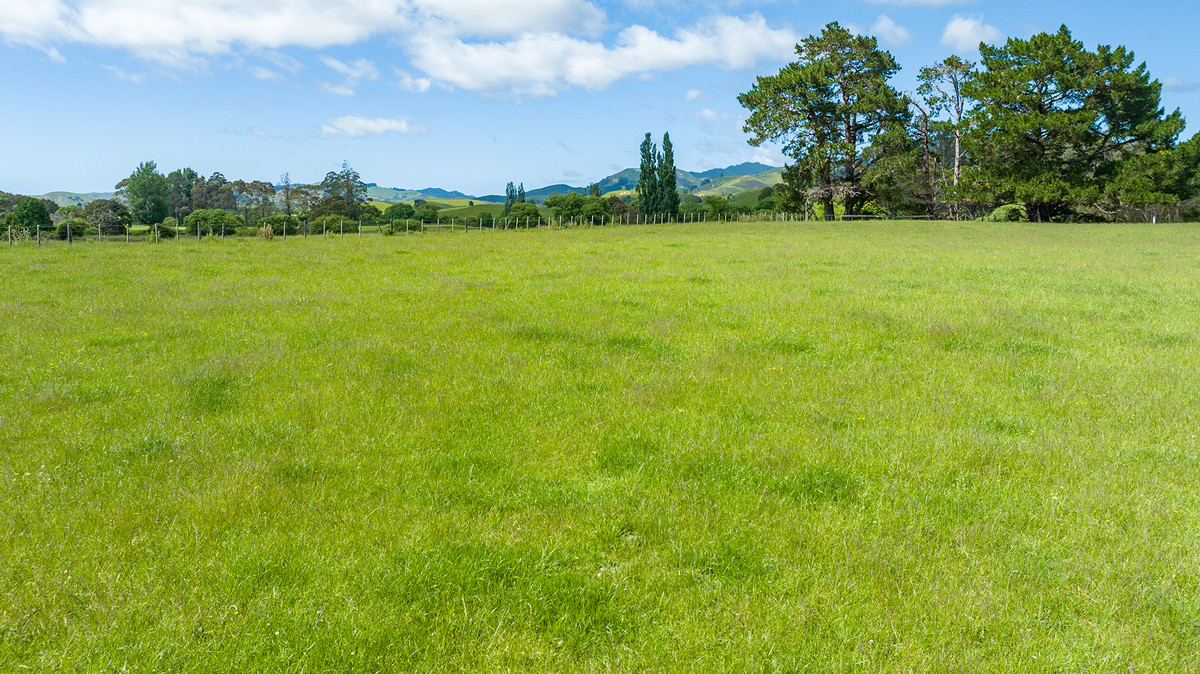 Surf or Turf - Value Bare Land Opportunity