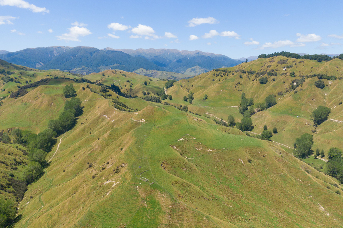 Strong Rangitikei Forward Store Country