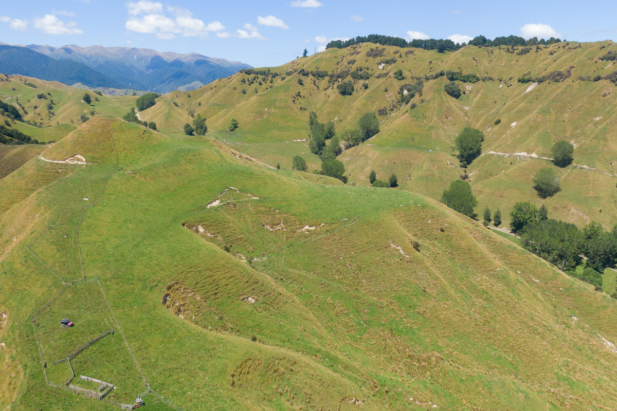 Strong Rangitikei Forward Store Country