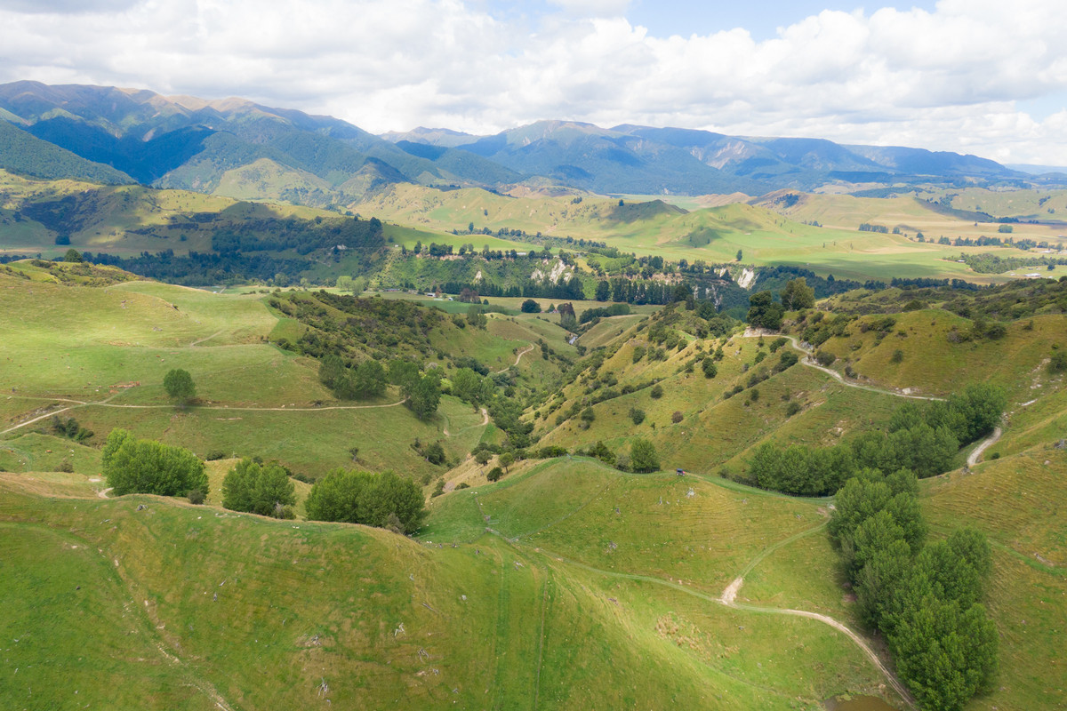 Strong Rangitikei Forward Store Country